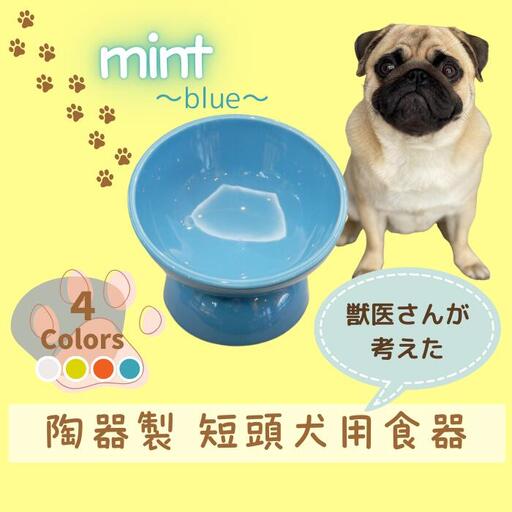 ペット用品 ペット ペットフードボウル「陶器製 短頭犬用食器」ミント ブルー 餌入れ エサ入れ えさ入れ 食器 皿 犬 猫 犬用食器 猫用食器 小型用ペットフードボウル 軽量ペットフードボウル アイボリー 536151 10-094