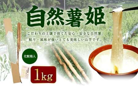 自然薯姫 (青果) 約1kg [発送不可期間:毎年4月下旬-11月上旬]