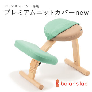 バランスイージー専用プレミアムニットカバーnew（ライトグリーン）はっ水加工【 チェアカバー 椅子カバー チェアカバー 椅子カバー チェアカバー 椅子カバー チェアカバー 椅子カバー 】