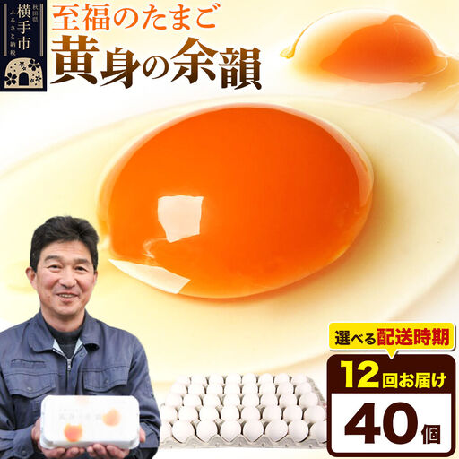 【常温発送】《定期便12ヶ月》黄身の余韻 40個（業務用）【発送時期が選べる】東海林養鶏場 黄身の余韻 卵 玉子 たまご タマゴ 12か月 12ヵ月 12カ月 12ケ月 開始時期選べる