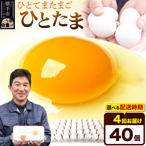 【常温発送】《定期便4ヶ月》ひとたま 40個（業務用）【発送時期が選べる】東海林養鶏場 ひとたま 卵 玉子 たまご タマゴ 4か月 4ヵ月 4カ月 4ケ月 開始時期選べる