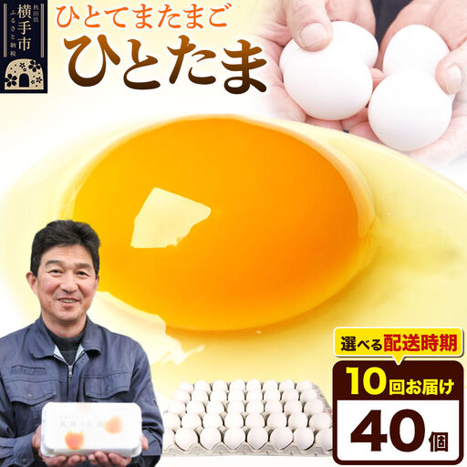 【常温発送】《定期便10ヶ月》ひとたま 40個（業務用）【発送時期が選べる】東海林養鶏場 ひとたま 卵 玉子 たまご タマゴ 10か月 10ヵ月 10カ月 10ケ月 開始時期選べる