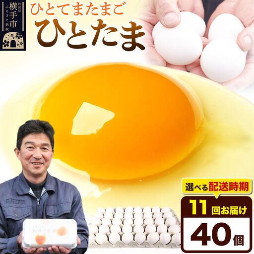 【常温発送】《定期便11ヶ月》ひとたま 40個（業務用）【発送時期が選べる】東海林養鶏場 ひとたま 卵 玉子 たまご タマゴ 11か月 11ヵ月 11カ月 11ケ月 開始時期選べる