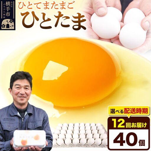 【常温発送】《定期便12ヶ月》ひとたま 40個（業務用）【発送時期が選べる】東海林養鶏場 ひとたま 卵 玉子 たまご タマゴ 12か月 12ヵ月 12カ月 12ケ月 開始時期選べる
