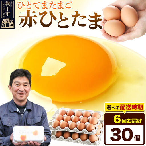 【常温発送】《定期便6ヶ月》赤ひとたま 30個（業務用）【発送時期が選べる】東海林養鶏場 赤ひとたま 卵 玉子 たまご タマゴ 6か月 6ヵ月 6カ月 6ケ月 開始時期選べる