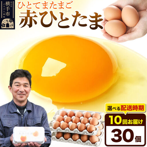 【常温発送】《定期便10ヶ月》赤ひとたま 30個（業務用）【発送時期が選べる】東海林養鶏場 赤ひとたま 卵 玉子 たまご タマゴ 10か月 10ヵ月 10カ月 10ケ月 開始時期選べる