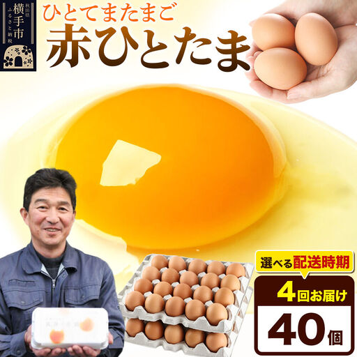 【常温発送】《定期便4ヶ月》赤ひとたま 40個（業務用）【発送時期が選べる】東海林養鶏場 赤ひとたま 卵 玉子 たまご タマゴ 4か月 4ヵ月 4カ月 4ケ月 開始時期選べる