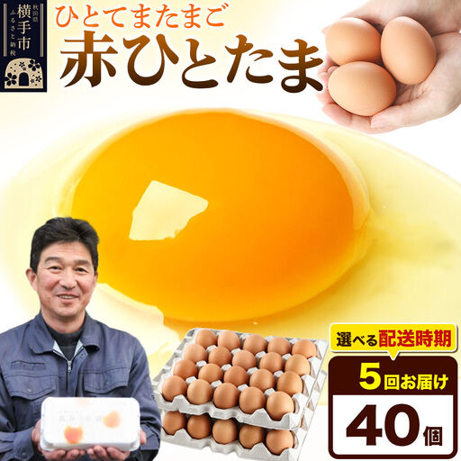 【常温発送】《定期便5ヶ月》赤ひとたま 40個（業務用）【発送時期が選べる】東海林養鶏場 赤ひとたま 卵 玉子 たまご タマゴ 5か月 5ヵ月 5カ月 5ケ月 開始時期選べる