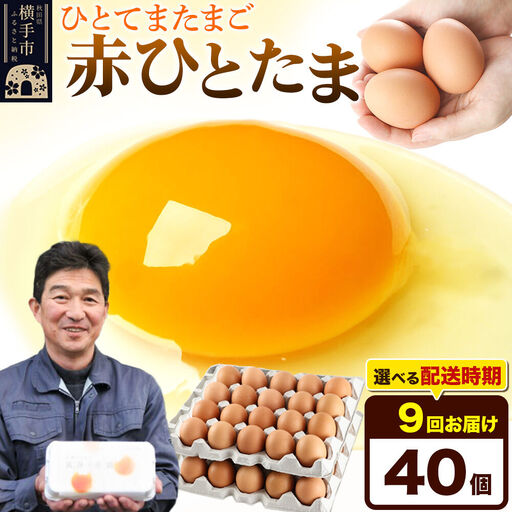 【常温発送】《定期便9ヶ月》赤ひとたま 40個（業務用）【発送時期が選べる】東海林養鶏場 赤ひとたま 卵 玉子 たまご タマゴ 9か月 9ヵ月 9カ月 9ケ月 開始時期選べる