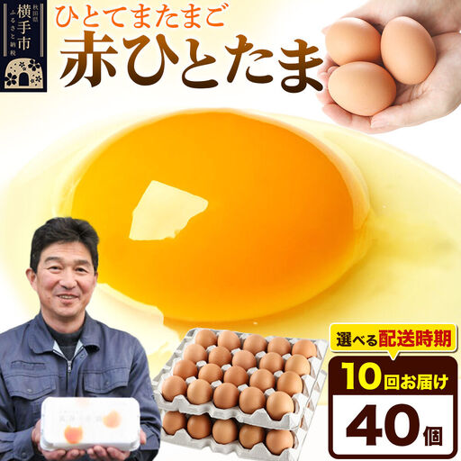 【常温発送】《定期便10ヶ月》赤ひとたま 40個（業務用）【発送時期が選べる】東海林養鶏場 赤ひとたま 卵 玉子 たまご タマゴ 10か月 10ヵ月 10カ月 10ケ月 開始時期選べる