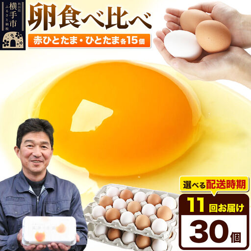 【常温発送】《定期便11ヶ月》赤ひとたま 15個・ひとたま 15個 計30個（業務用）【発送時期が選べる】東海林養鶏場 赤ひとたま ひとたま 卵 玉子 たまご タマゴ 11か月 11ヵ月 11カ月 11ケ月 開始時期選べる