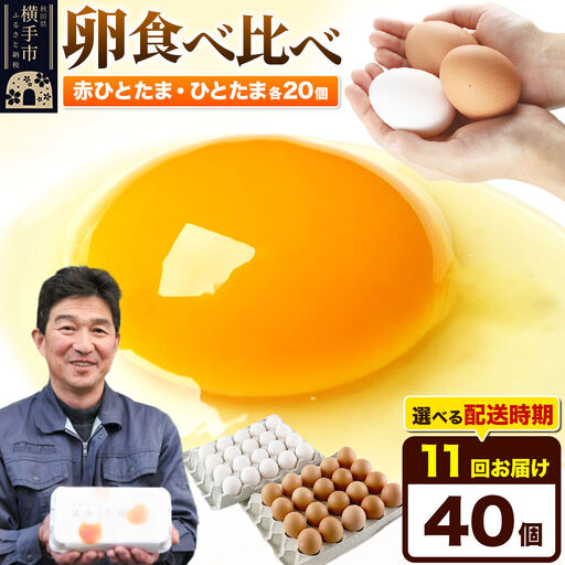 【常温発送】《定期便11ヶ月》赤ひとたま 20個・ひとたま 20個 計40個（業務用）【発送時期が選べる】東海林養鶏場 赤ひとたま ひとたま 卵 玉子 たまご タマゴ 11か月 11ヵ月 11カ月 11ケ月 開始時期選べる