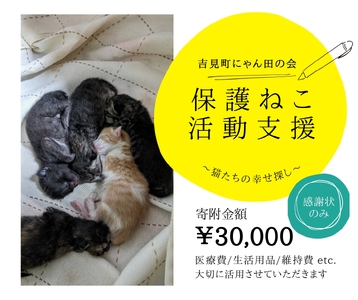 【30,000円】保護猫活動支援～望まれず生まれる命を無くし、行き場を失った猫たちの幸せ探し～
