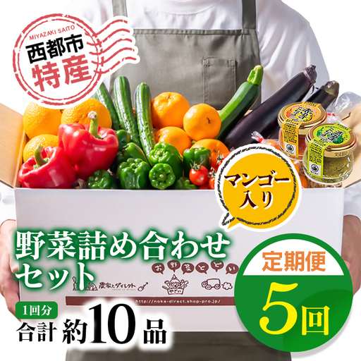 [5ヶ月定期便]西都市旬の特産詰め合わせセット 野菜・マンゴー・スイートコーン等[32-5a]野菜 フルーツ