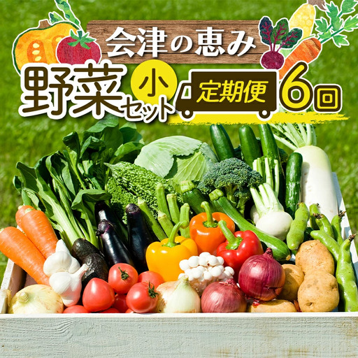 会津発　季節の野菜だより（小）定期便6回　【07208-0261】