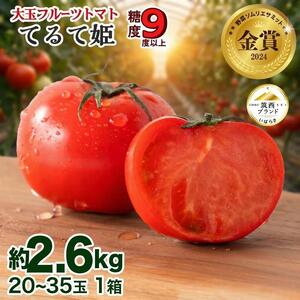 トマト てるて姫 大箱 約2.6kg × 1箱 [20〜35玉/1箱] 2027年産 とまと 野菜