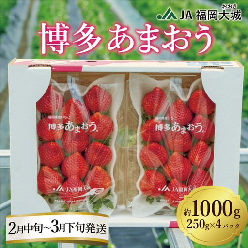 ★先行予約★いちごの王様 福岡県産博多あまおう250g×4パック【2027年2月中旬～3月順次出荷予定】