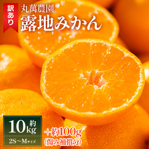 訳あり 小玉みかん 10kg みかん mn-0013