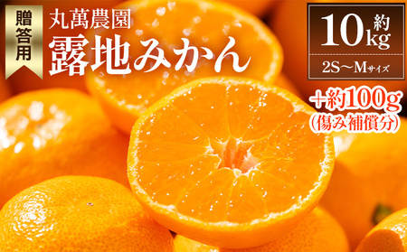 【2026年出荷分】露地みかん(2S～Mサイズ) 10kg 贈答用 丸萬農園 mn-0010