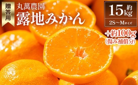 【2026年出荷分】露地みかん(2S～Mサイズ) 15kg 贈答用 丸萬農園 mn-0011