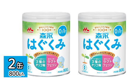 森永はぐくみ大缶（800ｇ）2缶 HBB002 | ミルク ミルク缶 赤ちゃんミルク 栄養バランスミルク はぐくみミルク 森永