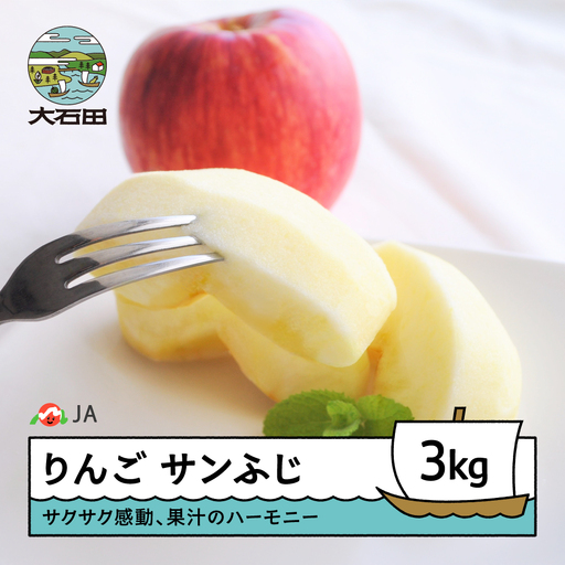 【先行予約】 りんご サンふじ 3kg 2026年産 令和8年産 リンゴ 林檎 果物 フルーツ 果樹 ja-risfx3 ※沖縄・離島への配送不可