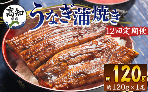 国産 うなぎ 定期便 100g～120g １尾 12回 蒲焼き 高知県産 養殖 魚介 国産 海鮮 魚 かばやき 鰻 ウナギ 惣菜 おかず お手軽 加工品 加工食品 冷凍 Wfb-0036