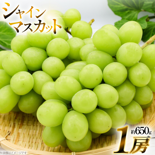 [期間限定発送] シャインマスカット 1房 約 650g