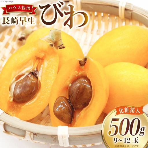 BI209 【令和9年度出荷分】赤秀 長崎 びわ 500g 温室ハウス栽培 長崎早生
