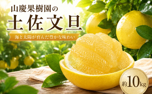 文旦 10kg 贈答用 文旦