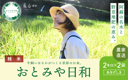 おとみや日和　　阿蘇の名水と野草堆肥のめぐみ　白米4kg（2kg×2袋）	