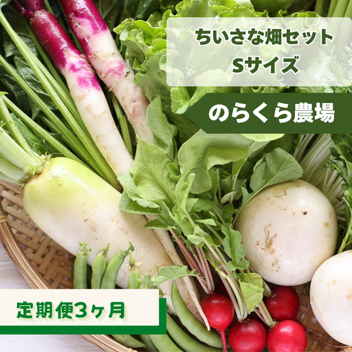 定期便3カ月　有機野菜ちいさな畑セット（Sサイズ　１～２人前）（NK-T519）