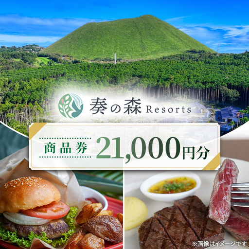 静岡県伊東市[奏の森リゾート]奏の森ResortsのAGEDでも使える商品券21,000円分_旅行券・チケット 食事券 _
