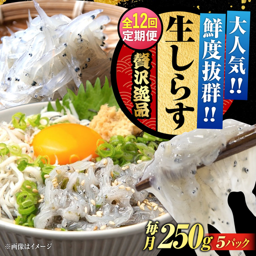 【全12回】冷凍生しらす50gX5個 しらす[XCN013]