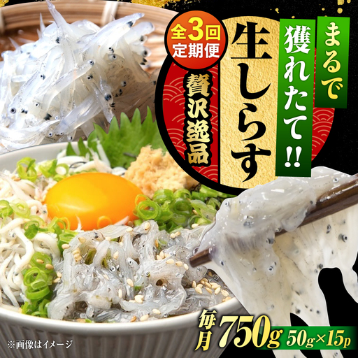 【全3回】冷凍生しらす50g×15個 しらす[XCN014]