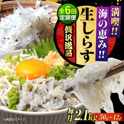 【全6回】冷凍生しらす50g×42個 しらす[XCN018]