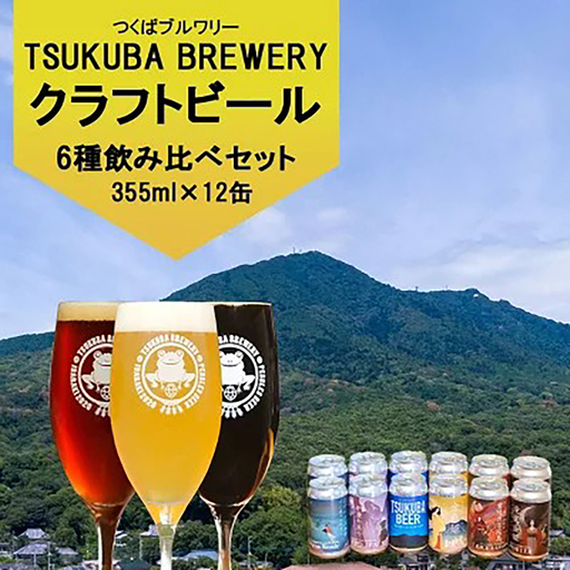 クラフトビール 12本 つくばブルワリー ビール