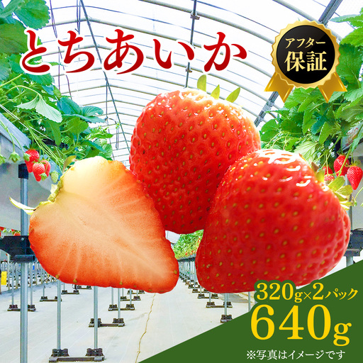 【先行予約】いちご とちあいか 15粒入り320g 2パック（2月発送） ※2027年2月～発送