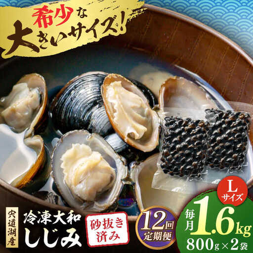 しじみ 【全12回定期便】宍道湖産 冷凍大和しじみ 砂抜き済 Lサイズ800×2袋(1.6kg) 島根県松江市/しじみ市場株式会社[ALDK008] しじみ しじみ
