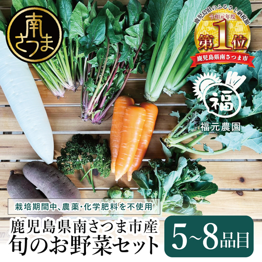 【鹿児島県南さつま市産】福元農園 旬のお野菜 おまかせセット 1箱（5～8品目）
