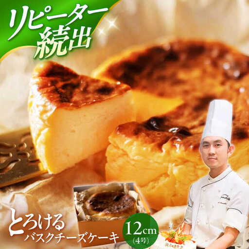 バスク チーズケーキ 1個  CAM068 9000円 チーズケーキ