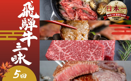 [定期便]飛騨牛 三昧 定期便 5回 飛騨牛 トキノ屋食品 [mt1729]