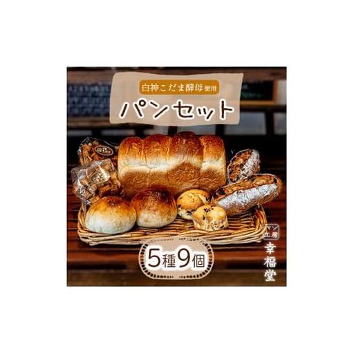 天然酵母のパンセット 5種9個 国産小麦粉 米粉 天然酵母 食パン 菓子パン