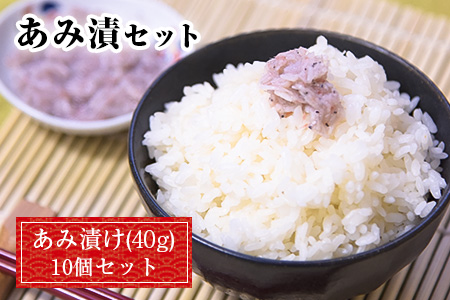 あみ漬 10個セット 海産 海鮮 魚介 内野海産[45日以内に出荷予定(土日祝除く)]