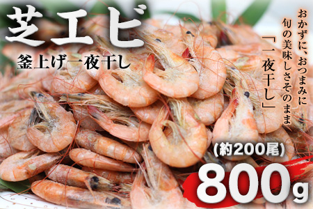海老 エビ 釜揚げ 一夜干し 芝えび (800g) 約200尾 魚介 海産 海鮮 内野海産[45日以内に出荷予定(土日祝除く)]