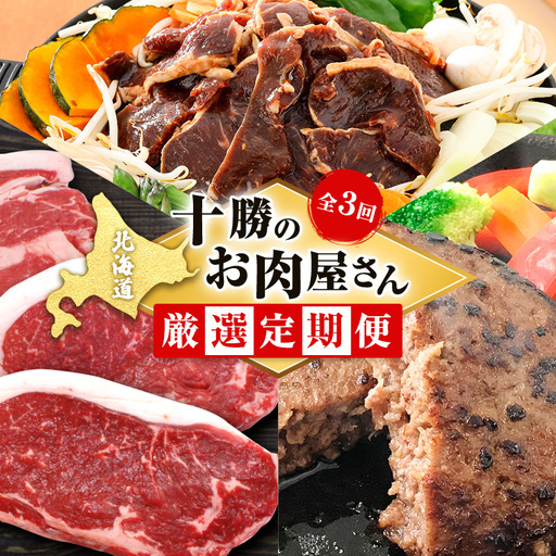 定期便 全3回 北海道産 豚肉 牛肉 セット ハンバーグ