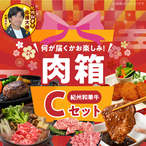 お楽しみ肉箱 Cセット お試し ドキドキ 黒毛和牛 ハンバーグ ステーキ ロース ヒレ 焼肉 すき焼き しゃぶしゃぶ 盛り合わせ コロッケ ローストビーフ 食品 和歌山県 湯浅町 送料無料 _BN6137