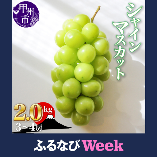 【ふるなびWEEK対象】シャインマスカット 約2.0kg（3～4房）山梨県甲州市 産地直送【2026年発送】（ORJ）B17-801 シャインマスカット フルーツ