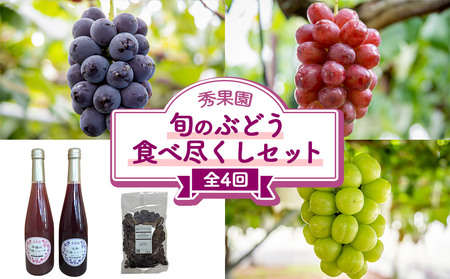 [先行受付2026年発送]旬のぶどう食べ尽くしセット4回頒布会(ナガノパープル、クイーンルージュ(R)、シャインマスカット)|秀果園