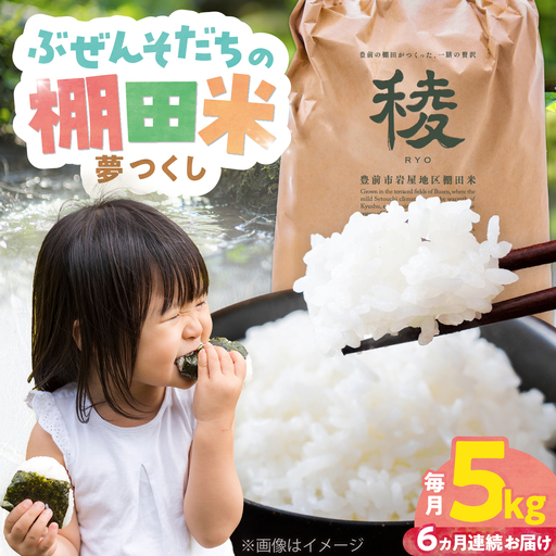 【全6回定期便】 求菩提米 夢つくし 5kg (5kg×1袋) VCO009 新米 定期便